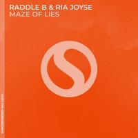 Artwork for Maze of Lies by Raddle B