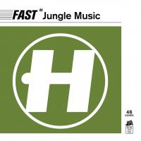 Artwork for Fast Jungle Music by Various Artists