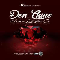 Artwork for Never Let You Go by Don Chino