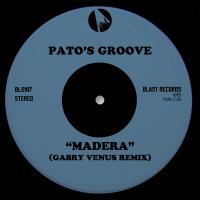 Artwork for Madera (Gabry Venus Remix) by Pato's Groove