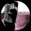 Artwork for Funk Heaven (Original Mix)
