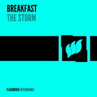 Artwork for The Storm by Breakfast