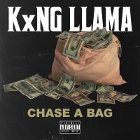 Artwork for Chase a Bag by KxNG LLAMA