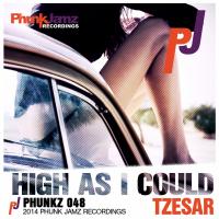 Artwork for High As I Could by Tzesar