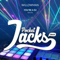 Artwork for You're A DJ by WillowMan