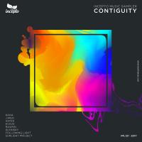 Artwork for Incepto Music Sampler: Contiguity by Various Artists