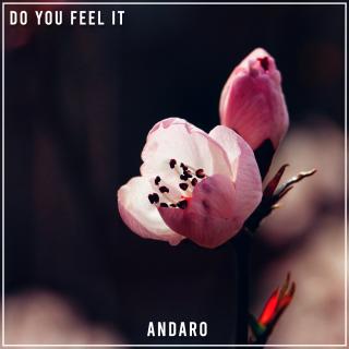 Artwork for Do You Feel It (Radio Edit)