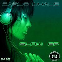 Artwork for Slow by Carlo Whale