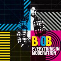 Artwork for Everything in Moderation by BYOB