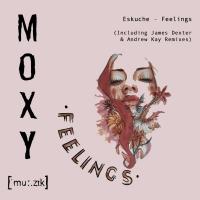 Artwork for Feelings by Eskuche