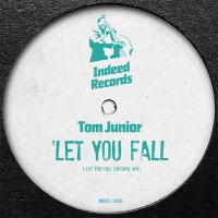 Artwork for Let You Fall by Tom Junior