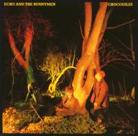 Artwork for Crocodiles by Echo And The Bunnymen