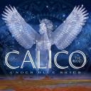 Artwork for California Dreamin'
