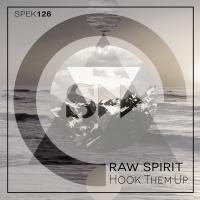 Artwork for Hook them Up (incl.Deeplomatik Remix) by Raw Spirit