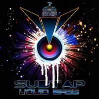 Artwork for Liquid Bass by Subtap