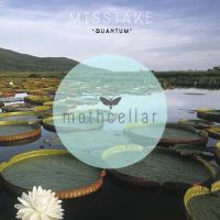 Artwork for Quantum (Ensaime Remix) by MISSTAKE