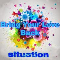 Artwork for Bring Your Love Back by Situation