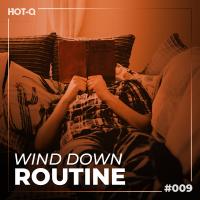 Artwork for Wind Down Routine 009 by Various Artists