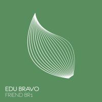 Artwork for Friend Br1 by Edu Bravo