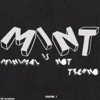 Artwork for MINT: Minimal Is Not Techno by Various Artists