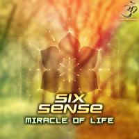 Artwork for The Miracle of Life by Sixsense