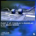 Artwork for Pump It Up (Tigerlily, Rudeejay, Da Brozz Remix)