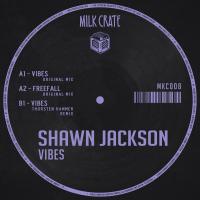 Artwork for Vibes by Shawn Jackson