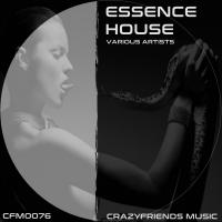 Artwork for Essence House by Various Artists