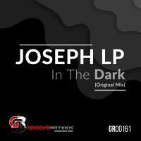 Artwork for In The Dark by Joseph LP