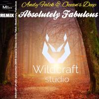 Artwork for Absolutely Fabulous (Original mix) by Andy Falck