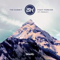 Artwork for The Summit / Fight Forever by BH