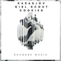 Artwork for Girl Scout Cookies by Karadjov