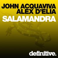 Artwork for Salamandra by John Acquaviva