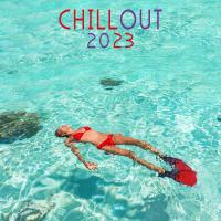 Artwork for Chill Out 2023 by DoctorSpook