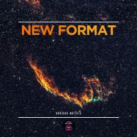 Artwork for New Format by Various Artists