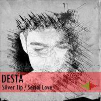 Artwork for Silver Tip / Serial Love by Desta