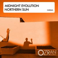 Artwork for Northern Sun by Midnight Evolution