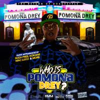 Artwork for Who Is Pomona Drey? by Pomona Drey