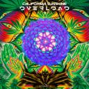 Artwork for Overload
