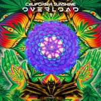 Artwork for Overload by California Sunshine