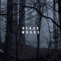 Artwork for Black Woods by Nature Sounds Nature Music