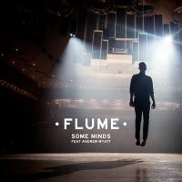 Artwork for Some Minds by Flume