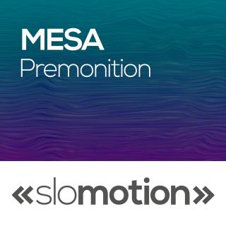 Artwork for Premonition