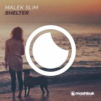 Artwork for Shelter by Malek Slim