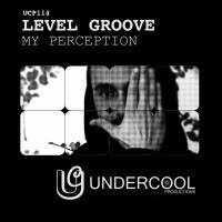 Artwork for My Perception by Level Groove