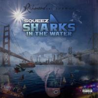 Artwork for Sharks In The Water by Squeez
