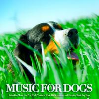 Artwork for Music For Dogs: Calm Dog Music For Pets While You're at Work, Pet Relaxation  and Sleeping Music For Dogs by Dog Music