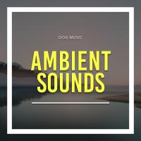 Artwork for Ambient Sounds by Dog Music