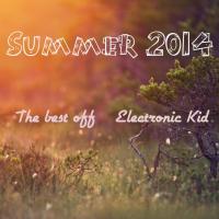 Artwork for Summer 2014 The Best Off Electronic Kid by Various Artists