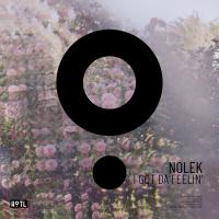 Artwork for I Got Da Feelin' by Nolek